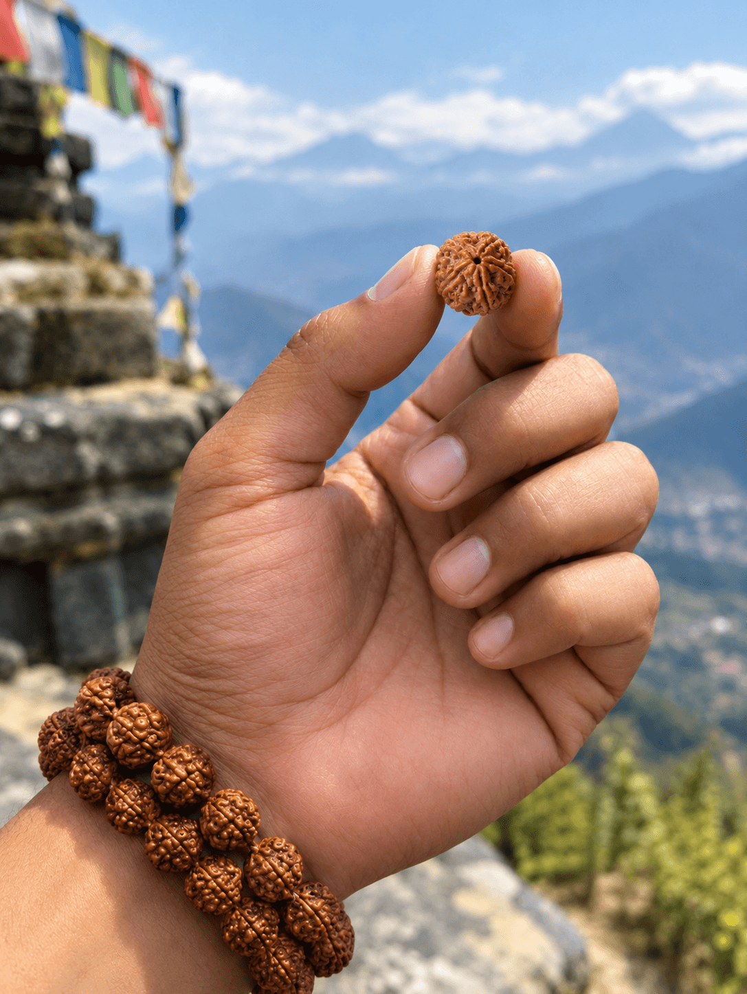 A hand holding a single Rudraksha bead between thumb and finger, a double-strand Rudraksha bracelet on the wrist, with a stone stupa, prayer flags and the Himalaya behind