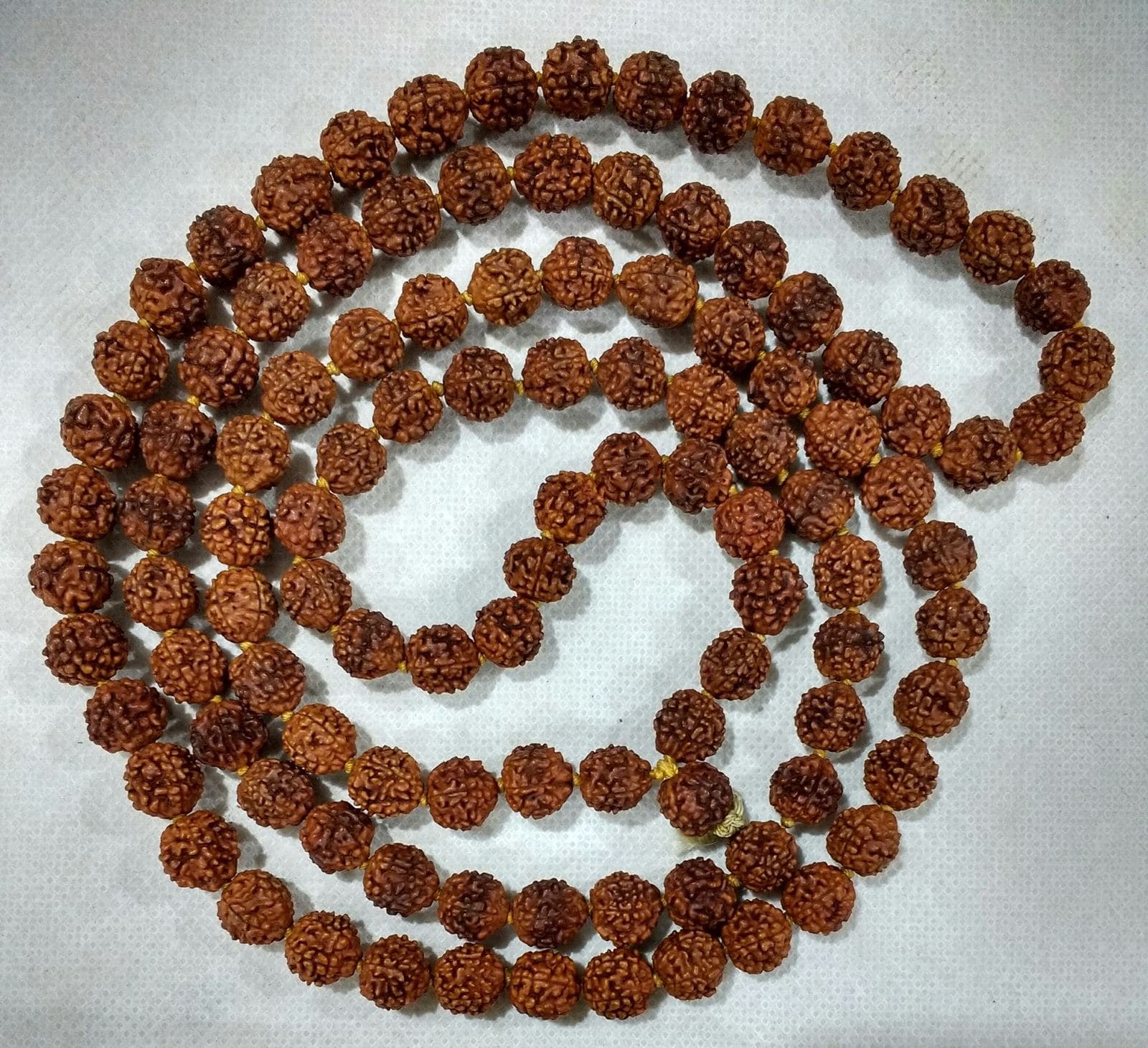 A complete 108-bead five mukhi Rudraksha mala coiled in a spiral